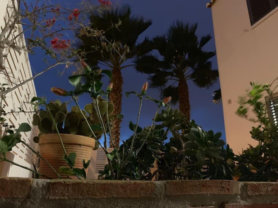 Villa Cinco Palmas Almerimar Exterior foto